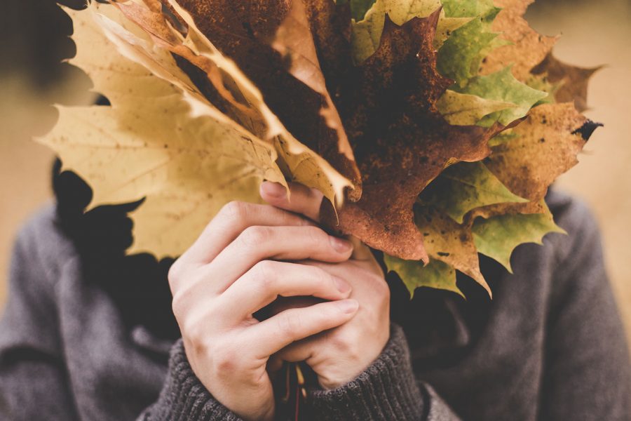 Autumn: A Season Of Falling Leaves